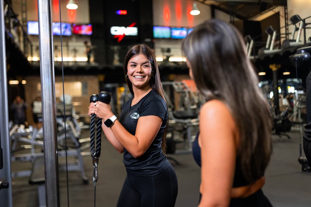 Image for Instructores