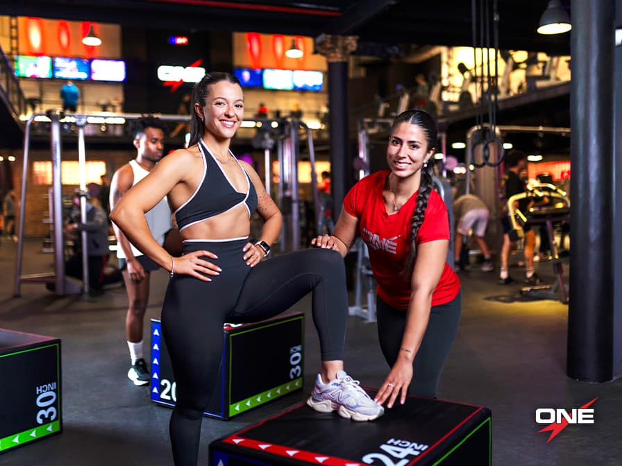 Image for Full Circuit